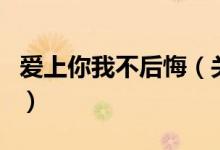 爱上你我不后悔（关于爱上你我不后悔的介绍）