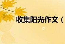 收集阳光作文（收集阳光作文范文）