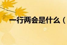 一行两会是什么（一行两会是什么意思）