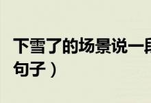 下雪了的场景说一段话（描写一段下雪的情景句子）