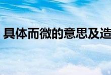 具体而微的意思及造句（具体而微解释造句）