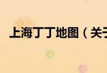 上海丁丁地图（关于上海丁丁地图的介绍）