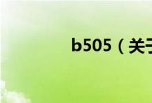 b505（关于b505的介绍）