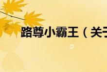 路尊小霸王（关于路尊小霸王的介绍）