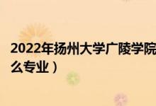 2022年扬州大学广陵学院各省招生计划及招生人数（都招什么专业）