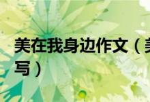 美在我身边作文（美在我身边作文600字怎么写）