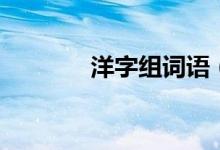 洋字组词语（汉字洋组词语）