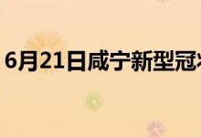 6月21日咸宁新型冠状病毒肺炎疫情最新消息