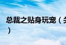 总裁之贴身玩宠（关于总裁之贴身玩宠的介绍）