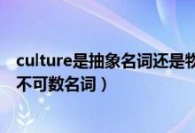 culture是抽象名词还是物质名词（culture是可数名词还是不可数名词）