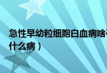 急性早幼粒细胞白血病啥引起的（急性早幼粒细胞白血病是什么病）