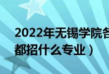 2022年无锡学院各省招生计划及招生人数（都招什么专业）