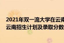 2021年双一流大学在云南录取情况（2022年双一流大学在云南招生计划及录取分数线）