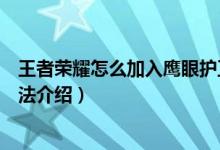 王者荣耀怎么加入鹰眼护卫队（王者荣耀加入鹰眼护卫队方法介绍）