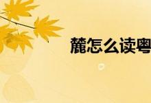 麓怎么读粤语（麓怎么读）