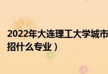 2022年大连理工大学城市学院招生计划及招生人数（各省都招什么专业）