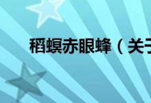 稻螟赤眼蜂（关于稻螟赤眼蜂的介绍）