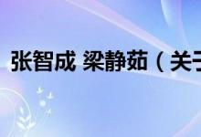 张智成 梁静茹（关于张智成 梁静茹的介绍）