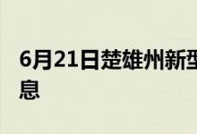6月21日楚雄州新型冠状病毒肺炎疫情最新消息