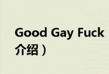 Good Gay Fuck（关于Good Gay Fuck的介绍）