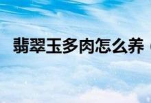 翡翠玉多肉怎么养（翡翠玉多肉如何养护）