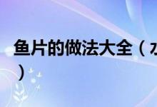 鱼片的做法大全（水煮鱼片的制作步骤是什么）