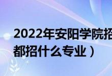 2022年安阳学院招生计划及招生人数（各省都招什么专业）