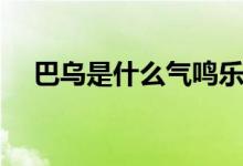 巴乌是什么气鸣乐器（巴乌指的是什么）