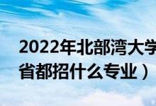 2022年北部湾大学招生计划及招生人数（各省都招什么专业）