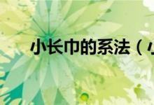 小长巾的系法（小长丝巾怎么系好看）
