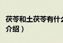 茯苓和土茯苓有什么区别（茯苓和土茯苓区别介绍）