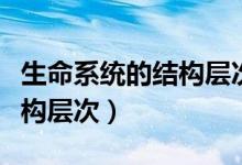 生命系统的结构层次思维导图(生命系统的结构层次)