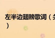 左半边翅膀歌词（关于左半边翅膀歌词的介绍）