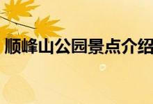 顺峰山公园景点介绍（顺峰山公园景点简介）