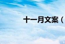 十一月文案（十一月走心文案）