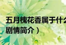 五月槐花香属于什么类型电视剧（五月槐花香剧情简介）
