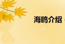 海鸥介绍（海鸥的简介）