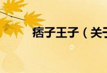 痞子王子（关于痞子王子的介绍）