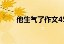 他生气了作文450字（范文请查收）