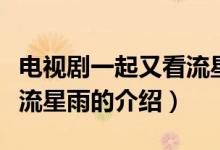 电视剧一起又看流星雨（关于电视剧一起又看流星雨的介绍）