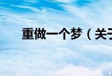 重做一个梦（关于重做一个梦的介绍）