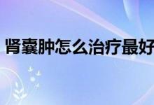 肾囊肿怎么治疗最好（肾囊肿怎么治疗最好）