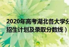 2020年高考湖北各大学分数线（2022年双一流大学在湖北招生计划及录取分数线）