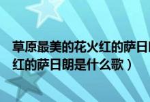 草原最美的花火红的萨日朗是什么歌（抖音草原最美的花火红的萨日朗是什么歌）
