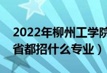 2022年柳州工学院招生计划及招生人数（各省都招什么专业）