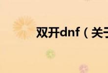双开dnf（关于双开dnf的介绍）