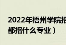 2022年梧州学院招生计划及招生人数（各省都招什么专业）