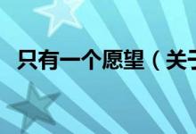 只有一个愿望（关于只有一个愿望的介绍）