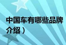中国车有哪些品牌（关于中国车有哪些品牌的介绍）