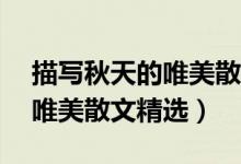 描写秋天的唯美散文12篇精选（描写秋天的唯美散文精选）